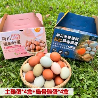 【8盒含運優惠組❹】<br>明川葉黃素紅仁土雞蛋*4盒 + 明川老饕絨羽烏骨雞蛋*4盒