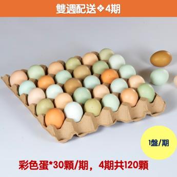 【雙週配送｜4期】<br>明川彩色蛋*30顆