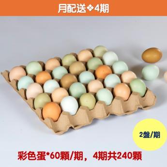【月配送｜4期】<br>明川彩色蛋*60顆