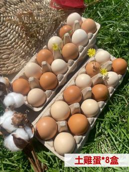 【捐贈含運組❷】明川葉黃素紅仁土雞蛋*8盒